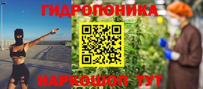 винт Сланцы