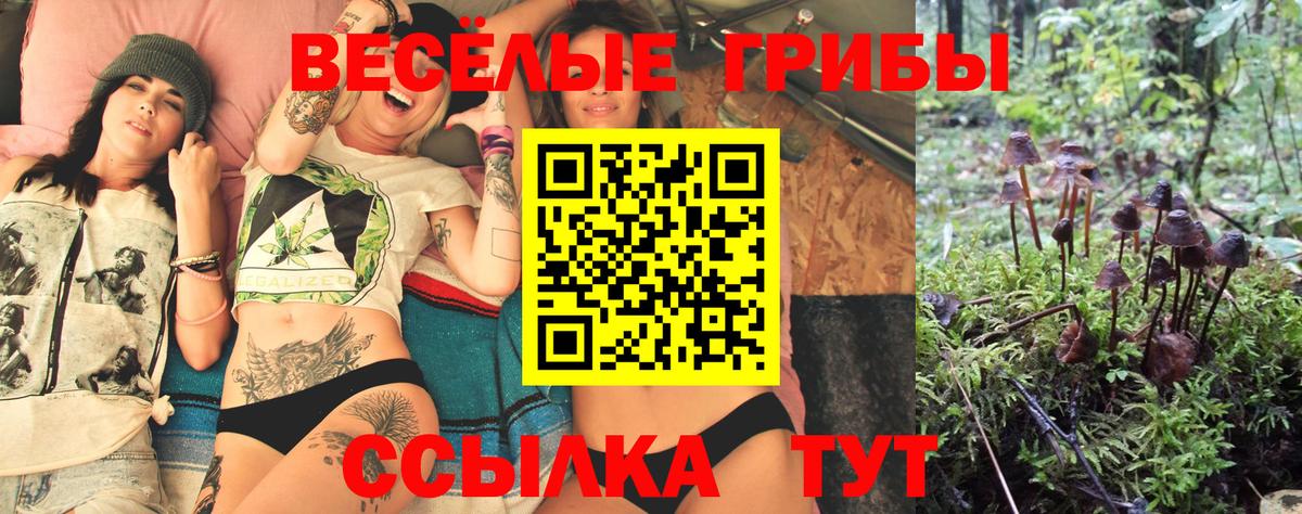 Новосибирск  Галлюциногенные грибы MAGIC MUSHROOMS  Вход с VPN 