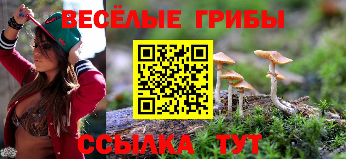 Псилоцибиновые грибы прущие грибы Новосибирск